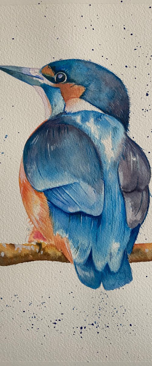 Kingfisher watercolour painting by Bethany Taylor