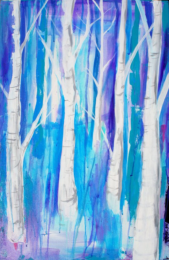 Silver Birch Forest