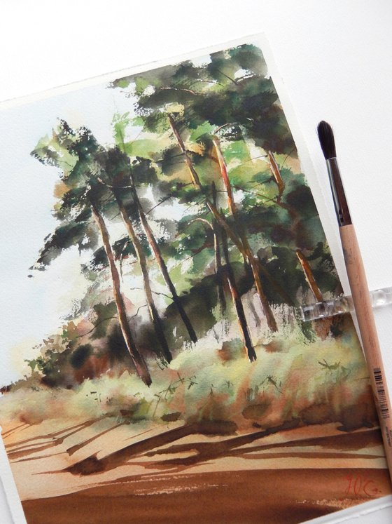 Watercolor pine forest in sunlight, Nature and shadows