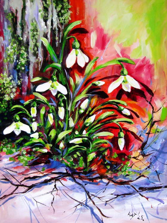 Snowdrops in the garden