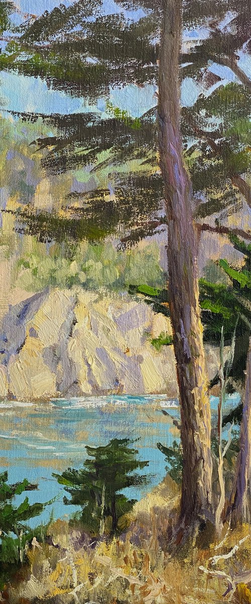 Point Lobos Cove View Plein Air Landscape by Tatyana Fogarty