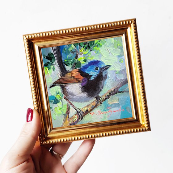 Fairywren bird painting