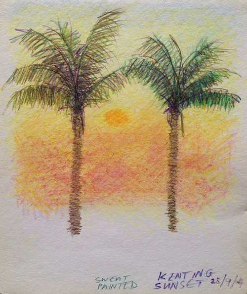 Palm Trees at Sunset by David Lloyd