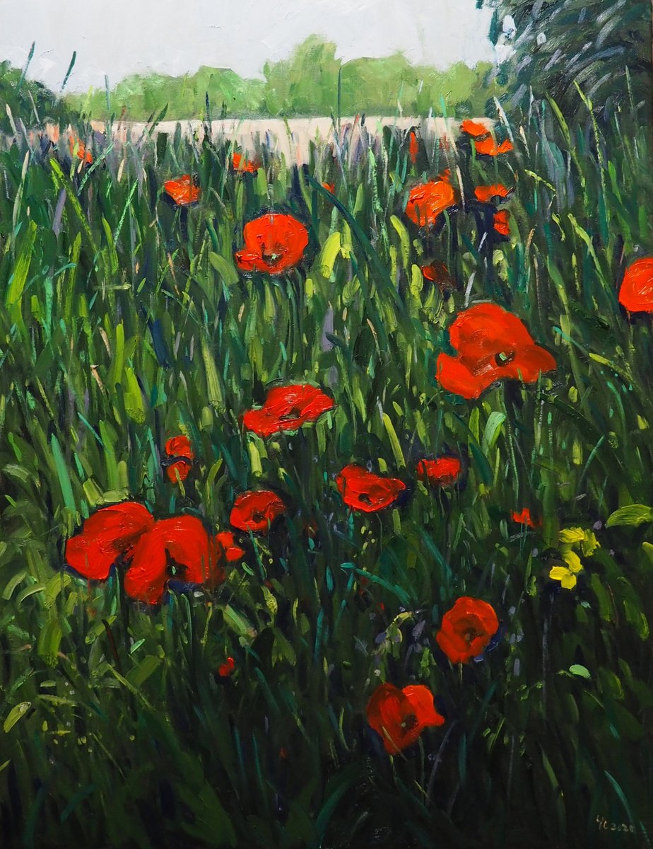 Poppy Flowers By Yuanyuan Liu, 28 X 35, Artwork For Sale On Artfinder