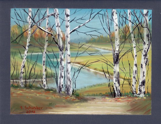Birch Trees