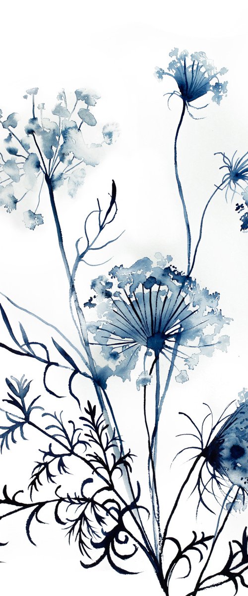 Queen Anne's Lace No. 10 by Elizabeth Becker