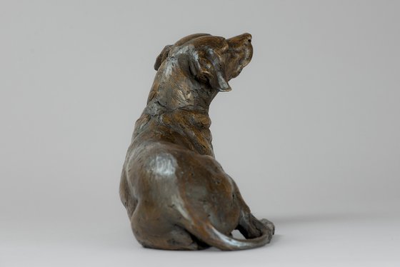 Lying Redbone Hound in Bronze Resin