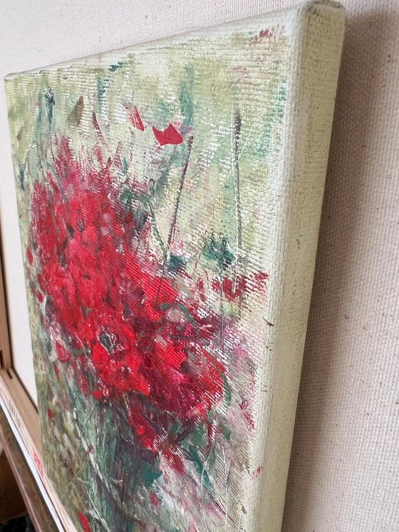 Rustic Red Poppy