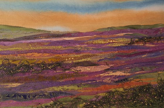 Gorse on the Moor