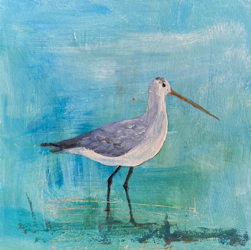 Wading Birds Series 1 by Teresa Tanner
