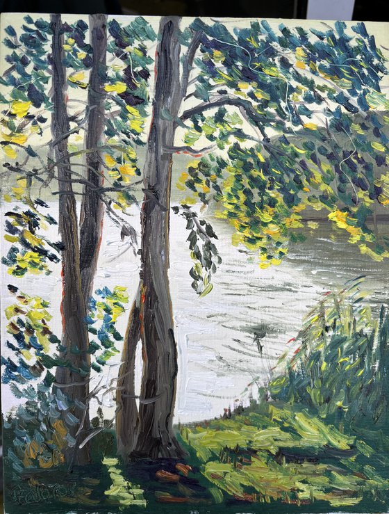 Small bridge at sunset