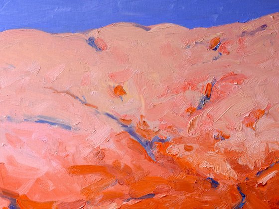 The Pink Hill of the Desert