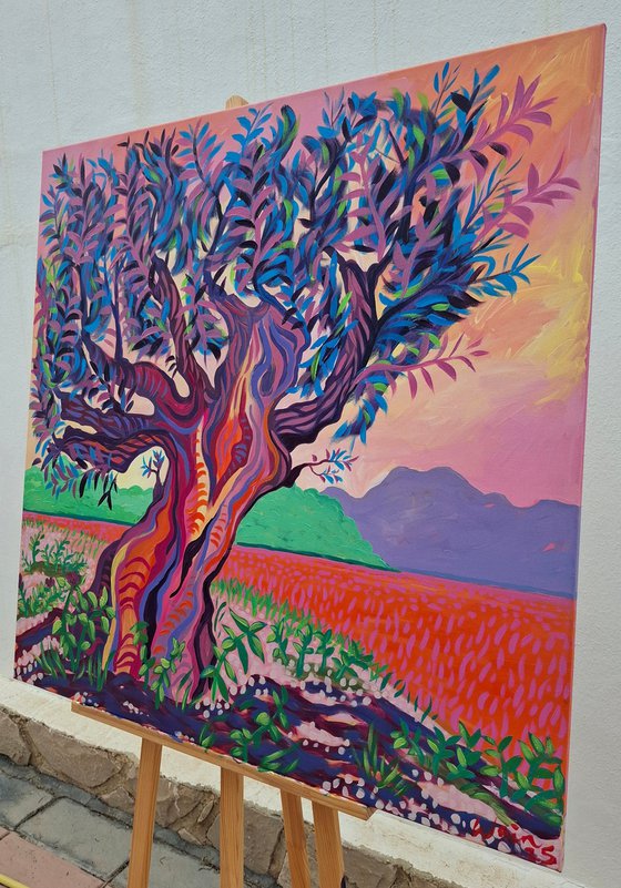Sunset Olive Tree, Altea