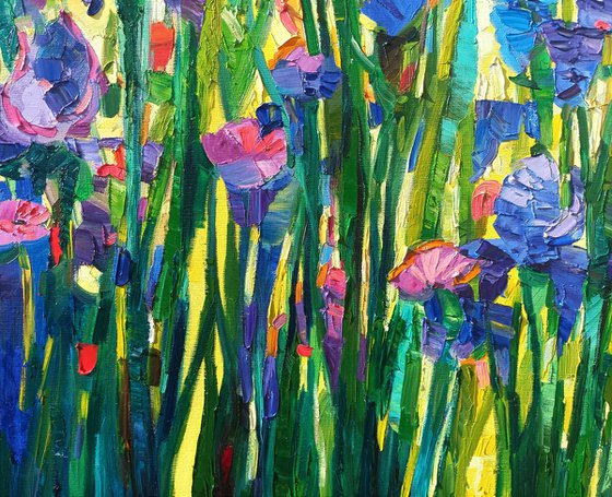 Light on the irises