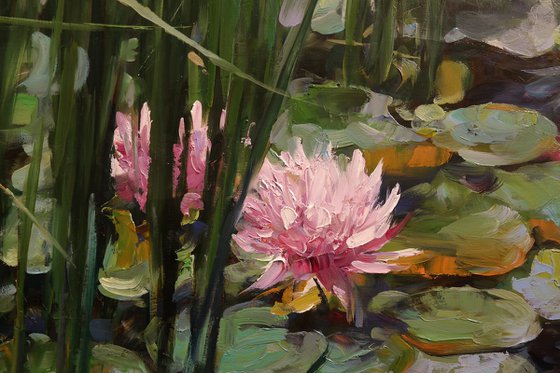 "Morning Harmony"