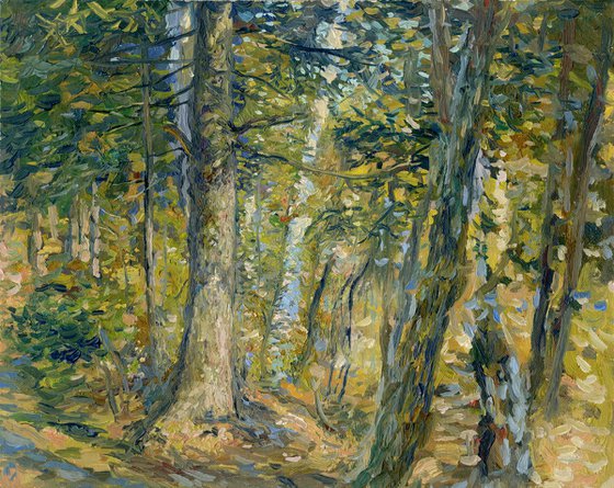 September. Forest. Surroundings of Ilyinki