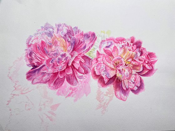 Between Bloom and Fade