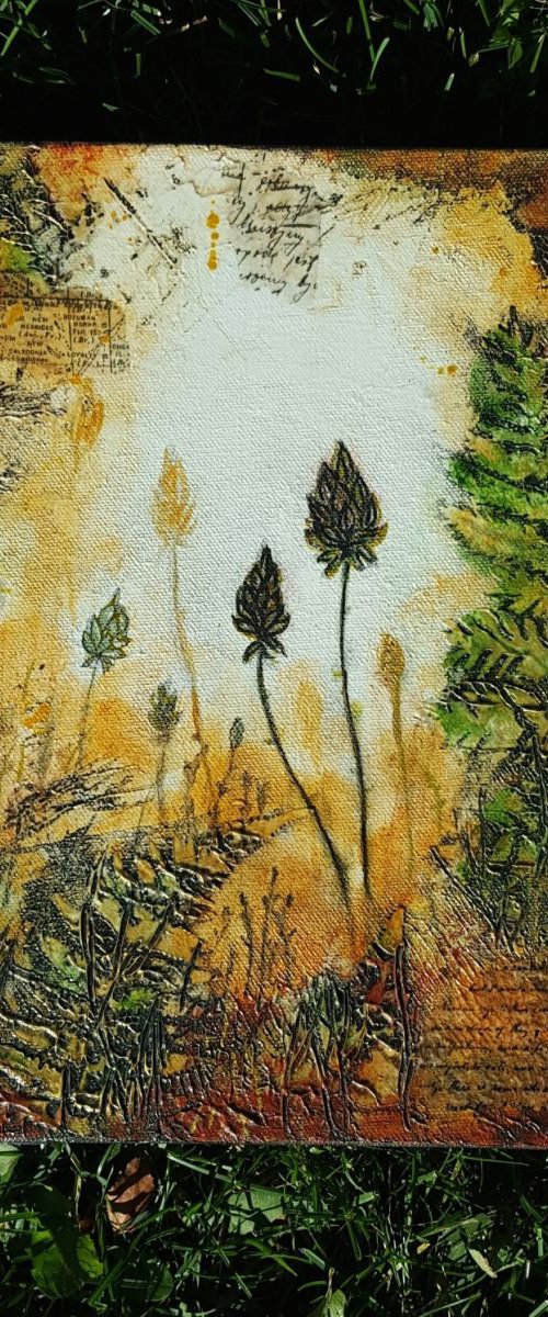 In the Fields of Gold by Laura Spring