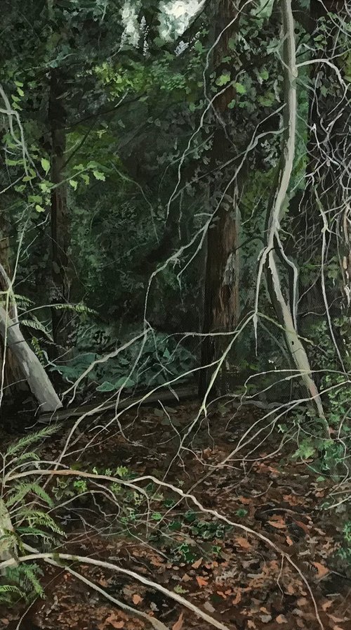 Into the Woods by Alastair Paynter