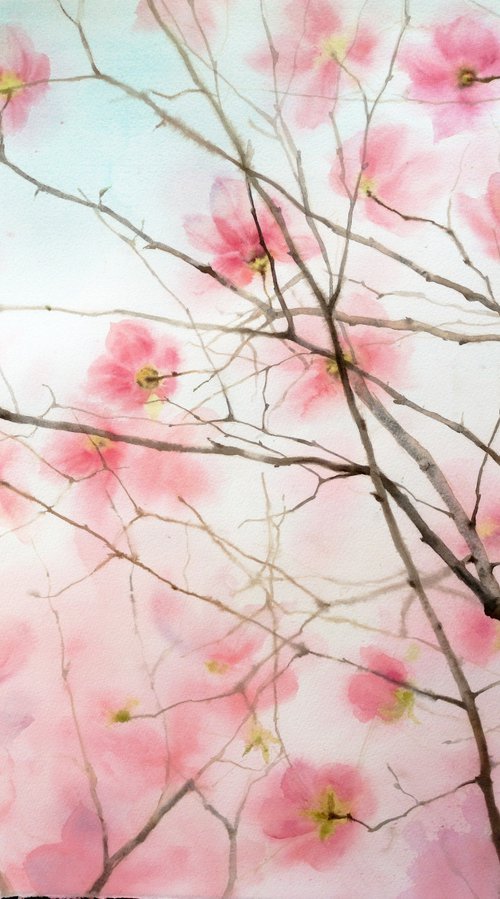 Magnolia Blossoms by Olga Beliaeva Watercolour