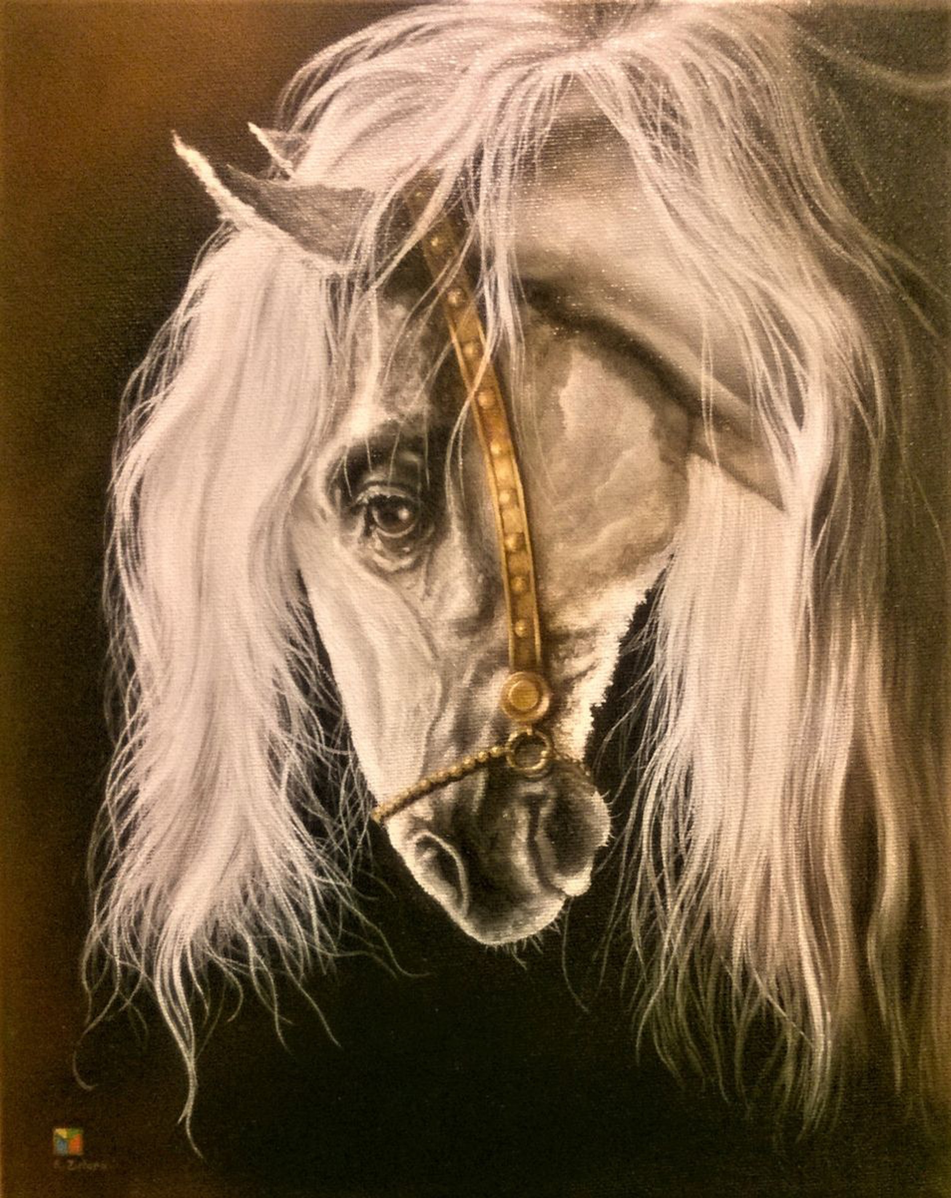 White Horse Head Artfinder