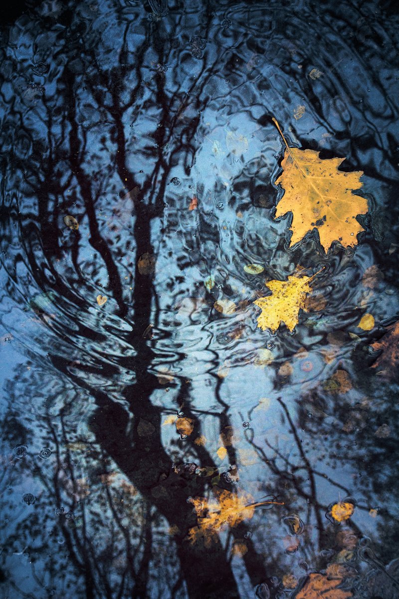 Photorealistic Landscape Photograph By Valerix, 20 X 30", In The Cycle Of Time., Original Artwork