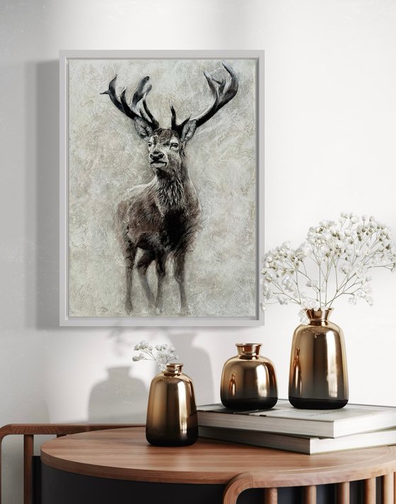 Stag at Winter