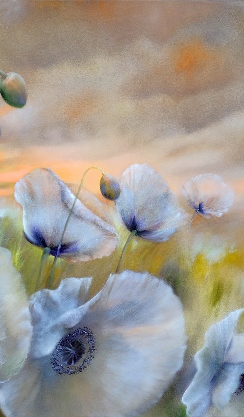 White poppies by Annette Schmucker