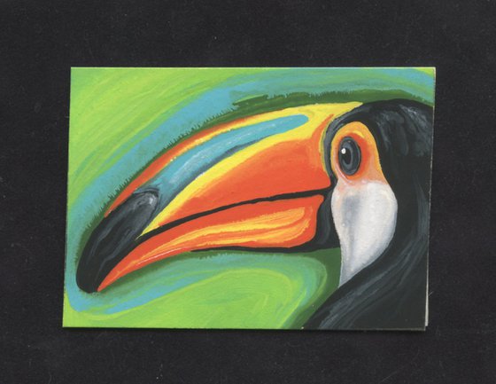 ACEO ATC Original Miniature Painting Toucan Parrot Bird Art-Carla Smale