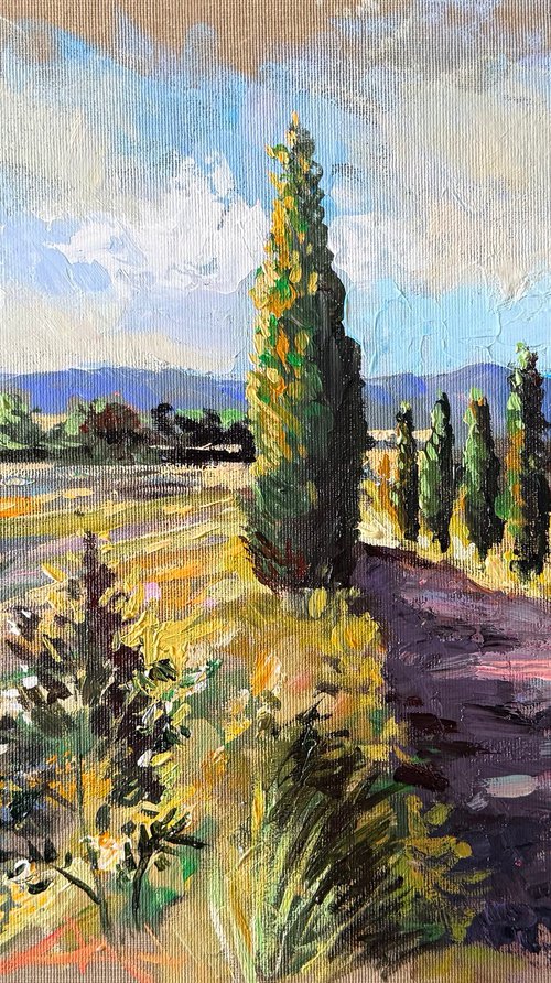 Cypress Road, Lake Bolsena by Maria Kireev