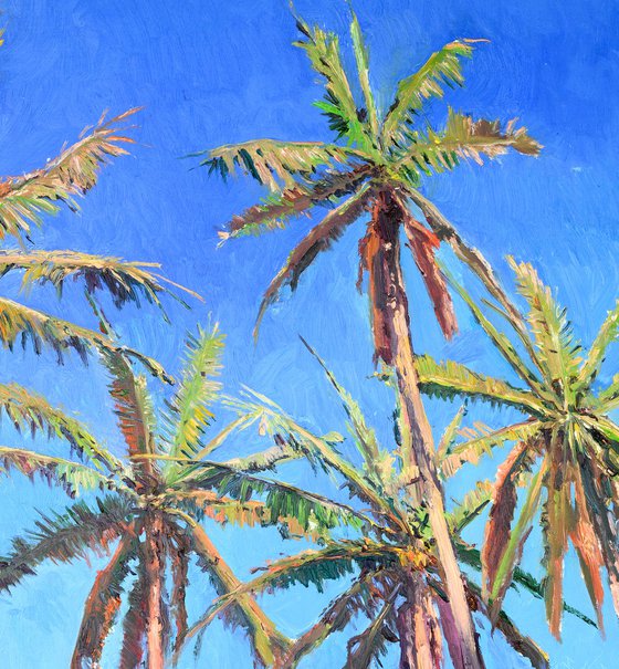 Coconut Palm Trees