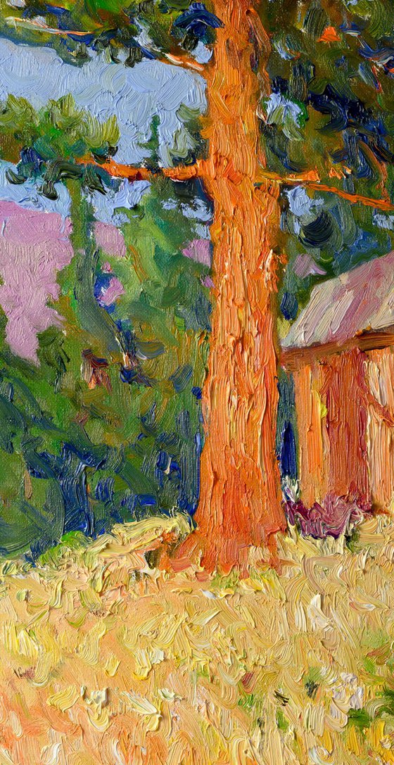 Old Cottage and Sequoia