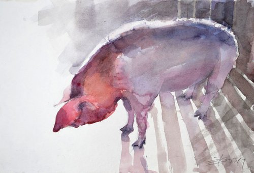 Piggy by Goran Žigolić Watercolors