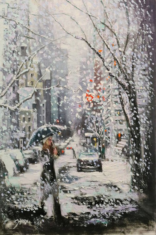 The White Snow in Upper Manhattan by Chin H Shin