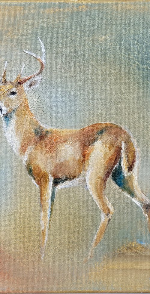 Deer In Soft Colours by Lisa Braun