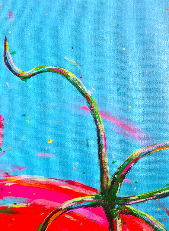 Tomato