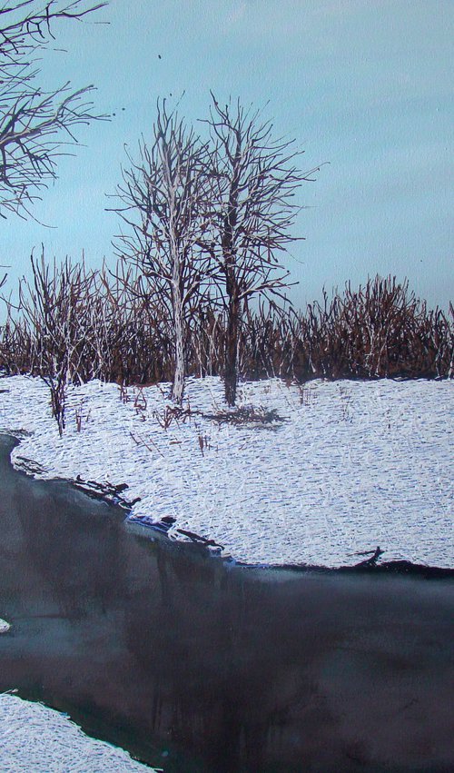 A frosty day by Andrii Brachun