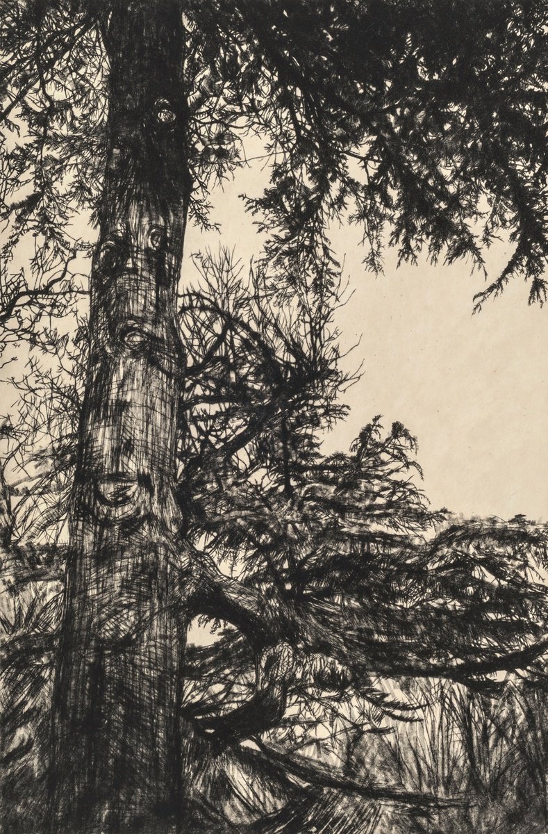 Impressionistic Botanical Etchings & Engravings By Fiona Hamilton, 18 X 25, Greville Smyth Cedar, Original Artwork