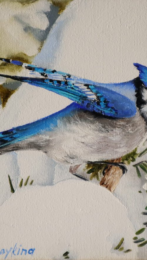 Backyards Winter Bird, Blue Jay Snow by Natalia Shaykina