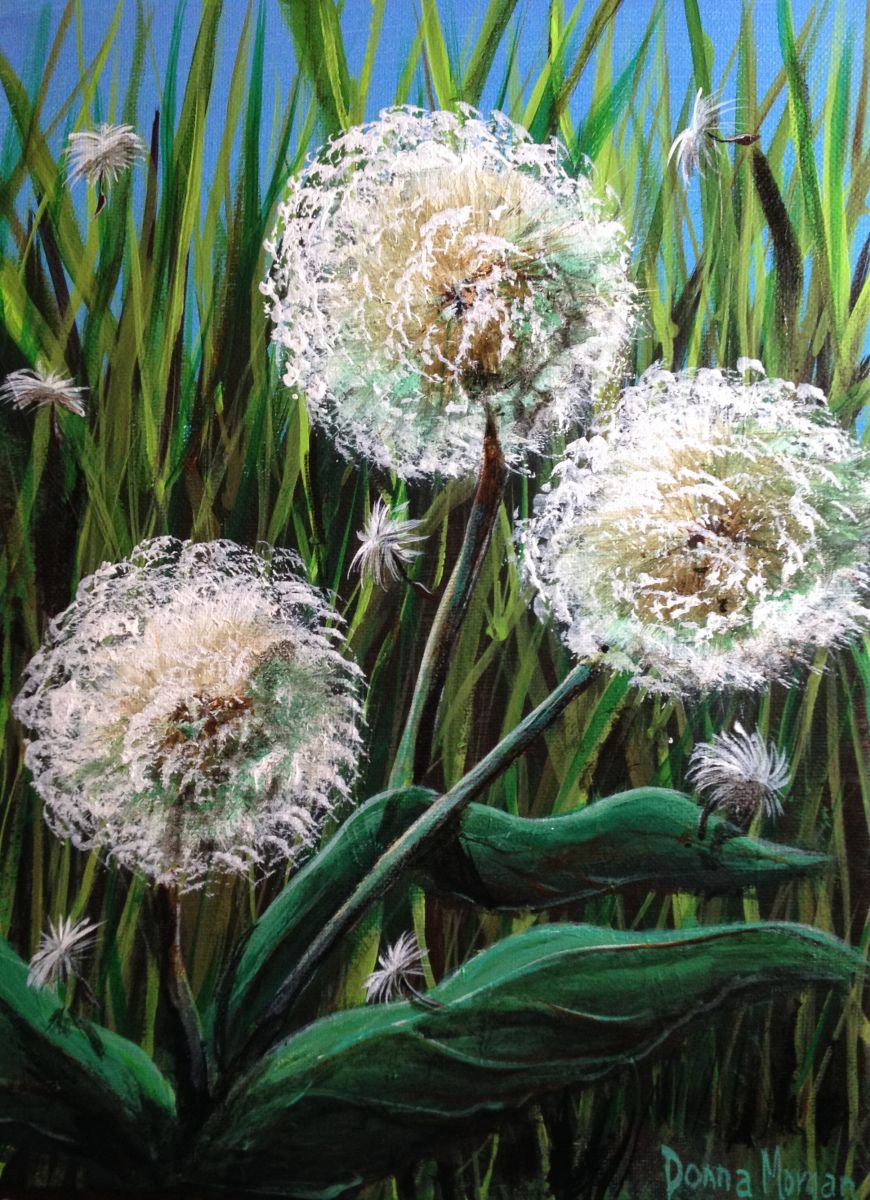 Dandelions by Donna Daniels