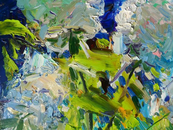 " Hydrangeas "