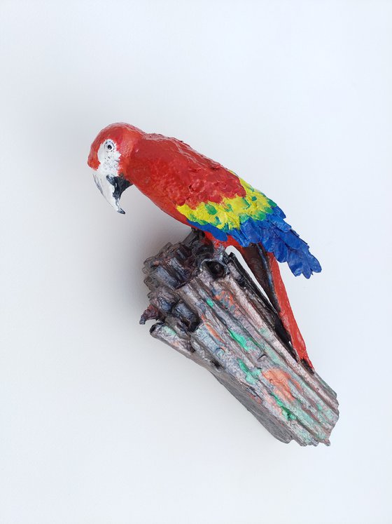 Scarlet Macaw Clay Lick