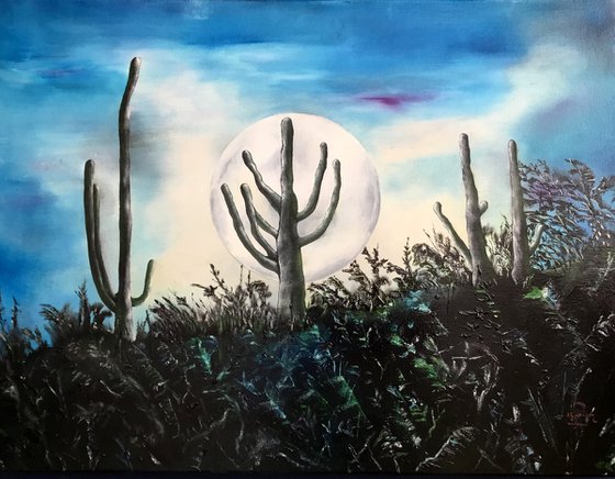 Saguaros in the moonlight