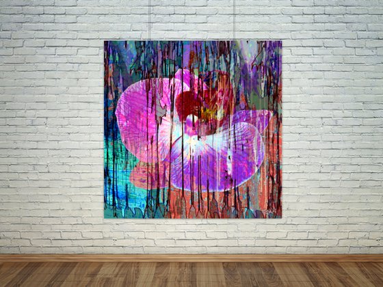 Abstract Pink Orchid