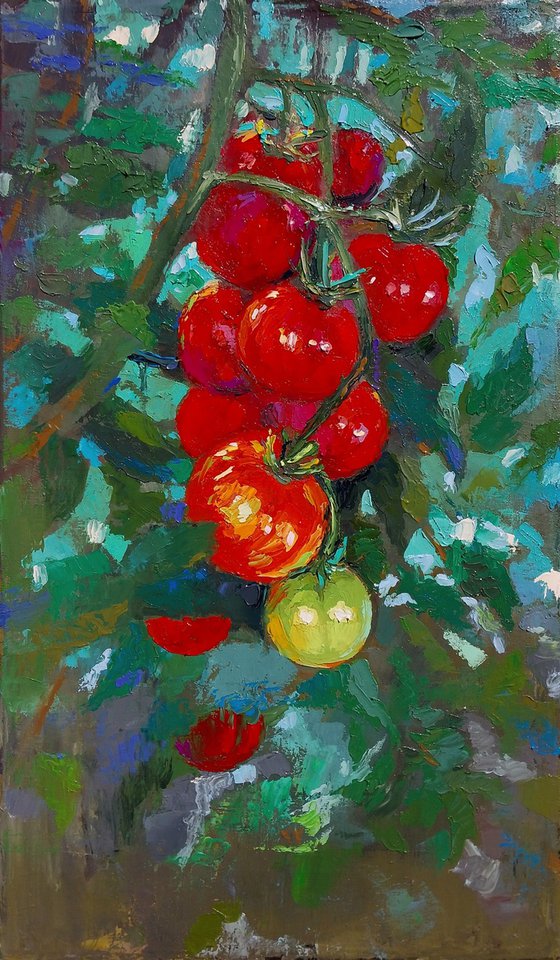 Tomatoes on the Vine