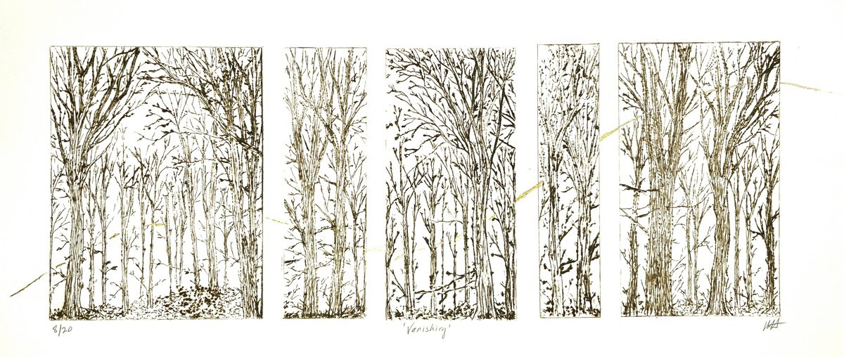 Botanical Etchings & Engravings By Michelle Hinshelwood, 22 X 10", Vanishing, Original Artwork