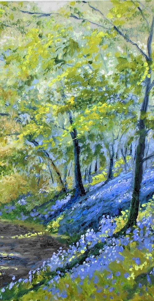 Bluebell Walk by Rod Bere