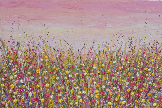 Pink Sky Flower Field