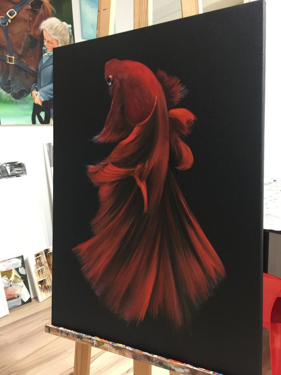 goldfish. Eka Peradze Art