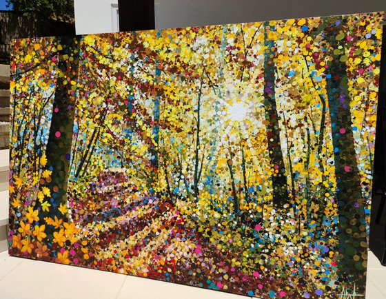 A Thousand Ways to Shine